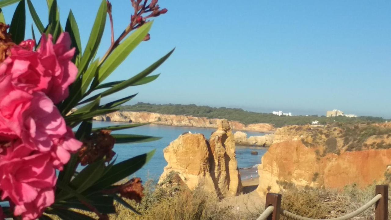 Albur Village B - Hyacinth ألفور المظهر الخارجي الصورة